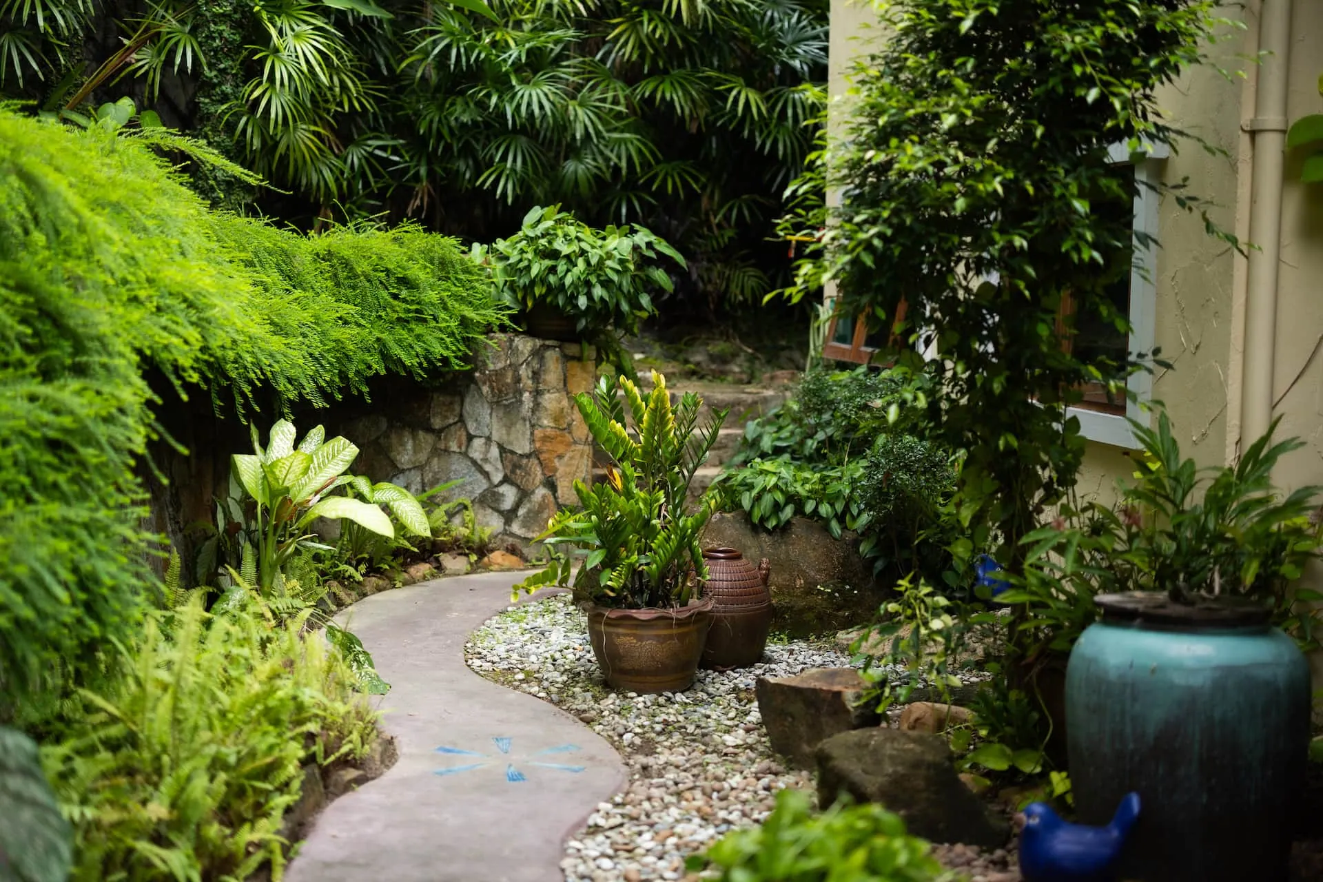 Garden path winding through ferns and potted plants