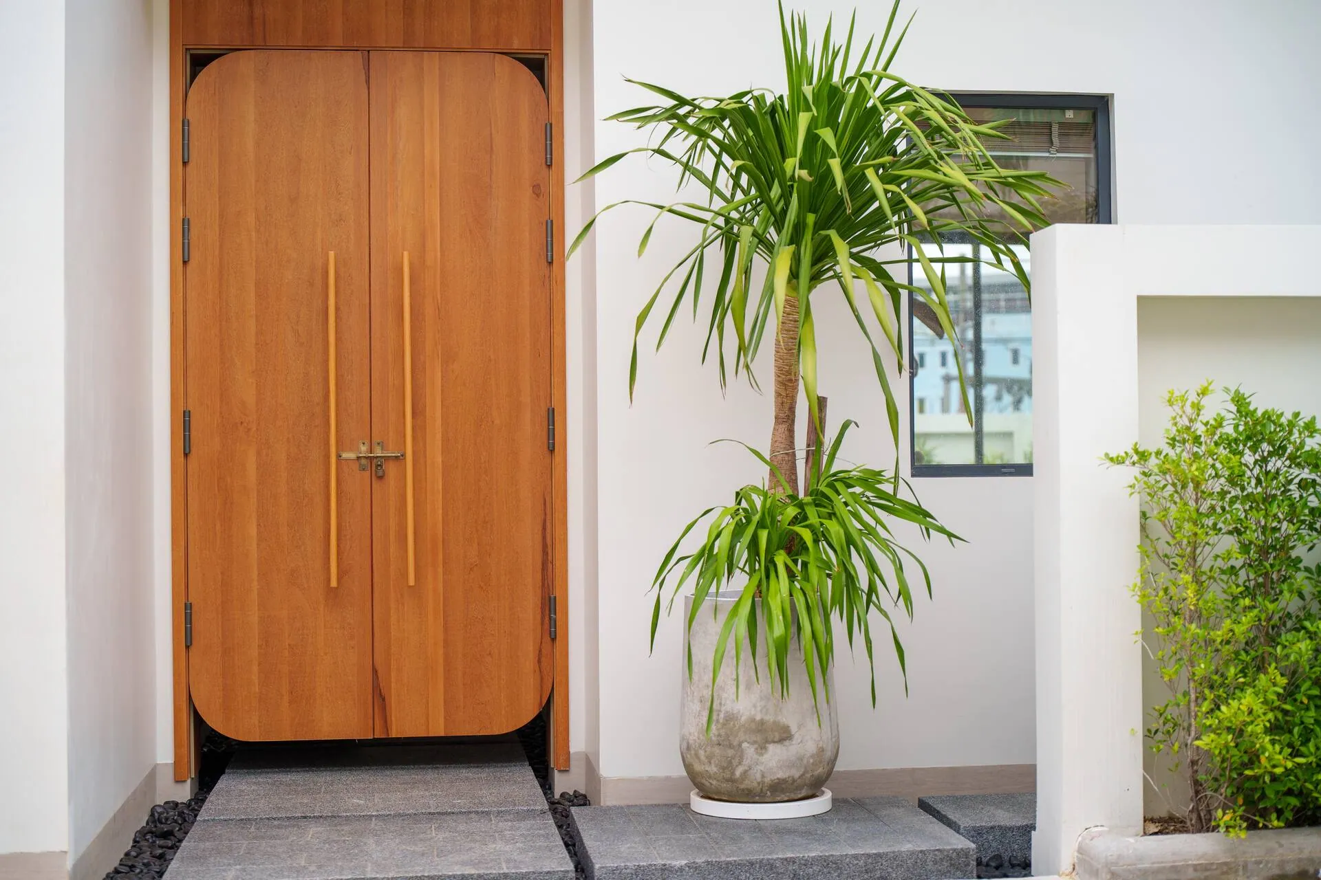 Timber double front door beside potted palms
