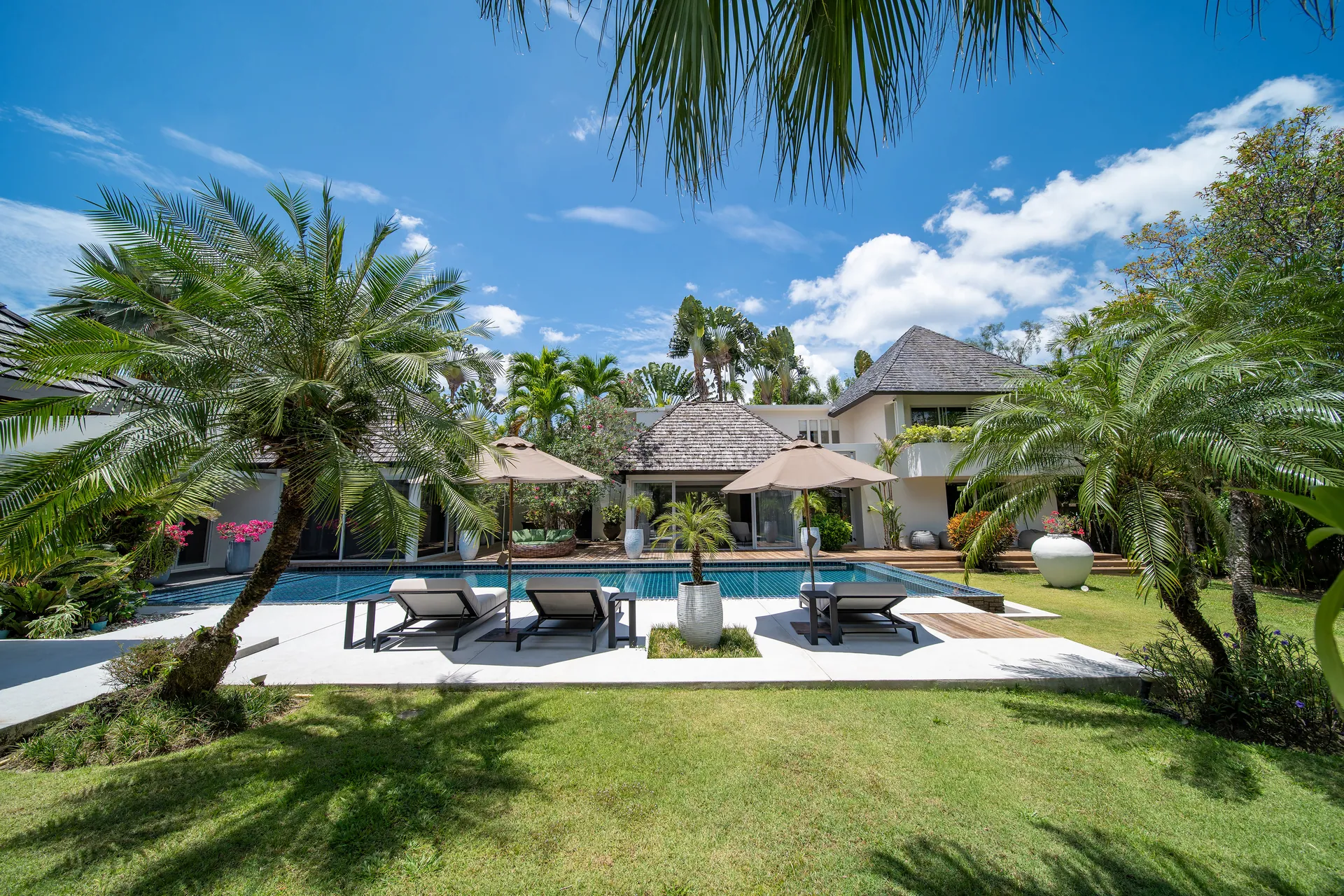 Lawn planted with palms and cycads, leading to the pool terrace and the pavilions