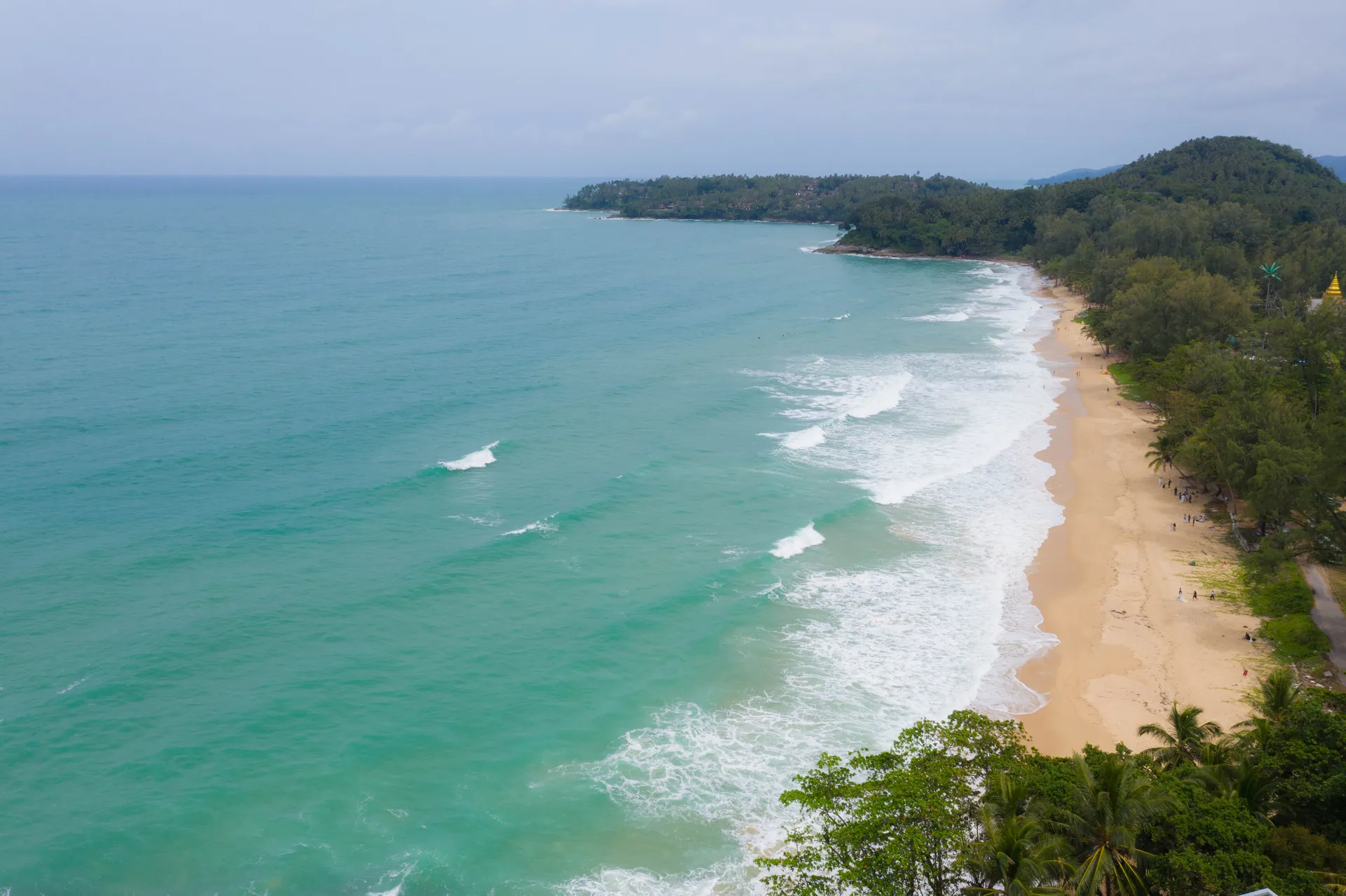 Aerial view of a long sandy beach and a wooded headland along the coast